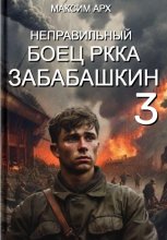 Неправильный боец РККА Забабашкин Юрий Винокуров, Олег Сапфир