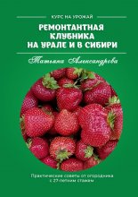 Ремонтантная клубника на Урале и в Сибири. Курс на урожай