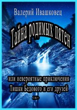 Тайна родимых пятен или невероятные приключения Тишки Бедового и его друзей