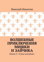 Волшебные приключения Мишки и Зайчика. Книга 5: «Сила осколков»