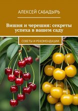 Вишня и черешня: секреты успеха в вашем саду. Советы и рекомендации