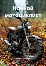 Ночной мотоциклист