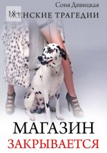Магазин закрывается. Роман