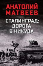 Сталинград: дорога в никуда