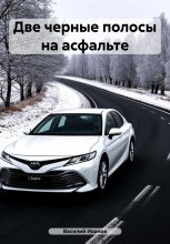 Две черные полосы на асфальте