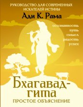 Бхагавад-гита: простое объяснение. Руководство для современных искателей истины Юрий Винокуров, Олег Сапфир