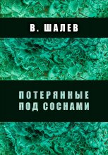 Потерянные под соснами