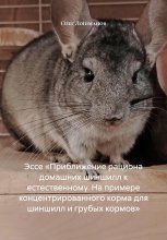 Эссе «Приближение рациона домашних шиншилл к естественному. На примере концентрированного корма для шиншилл и грубых кормов»