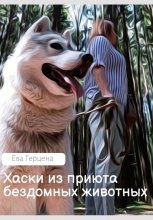 Шерри Юрий Винокуров, Олег Сапфир