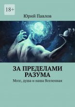 За пределами разума. Мозг, душа и наша Вселенная