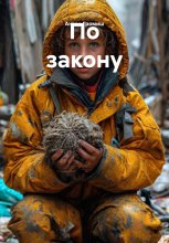 По закону Юрий Винокуров, Олег Сапфир