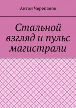 Стальной взгляд и пульс магистрали