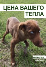Цена вашего тепла