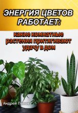 Энергия цветов работает: какие комнатные растения притягивают удачу в дом