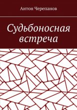 Судьбоносная встреча