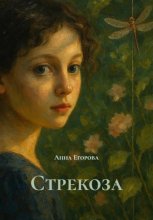 Стрекоза