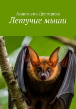 Летучие мыши