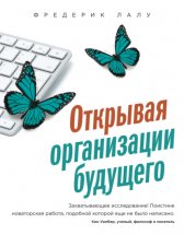 Открывая организации будущего Юрий Винокуров, Олег Сапфир