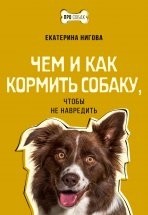 Чем и как кормить собаку, чтобы не навредить Юрий Винокуров, Олег Сапфир