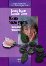 Жизнь после утраты. Психология горевания Юрий Винокуров, Олег Сапфир