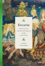 Кельты. Мифология, сформировавшая наше сознание Юрий Винокуров, Олег Сапфир