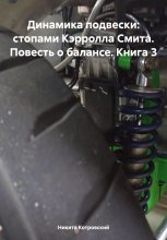 Динамика подвески: стопами Кэрролла Смита. Повесть о балансе. Книга 3 Юрий Винокуров, Олег Сапфир